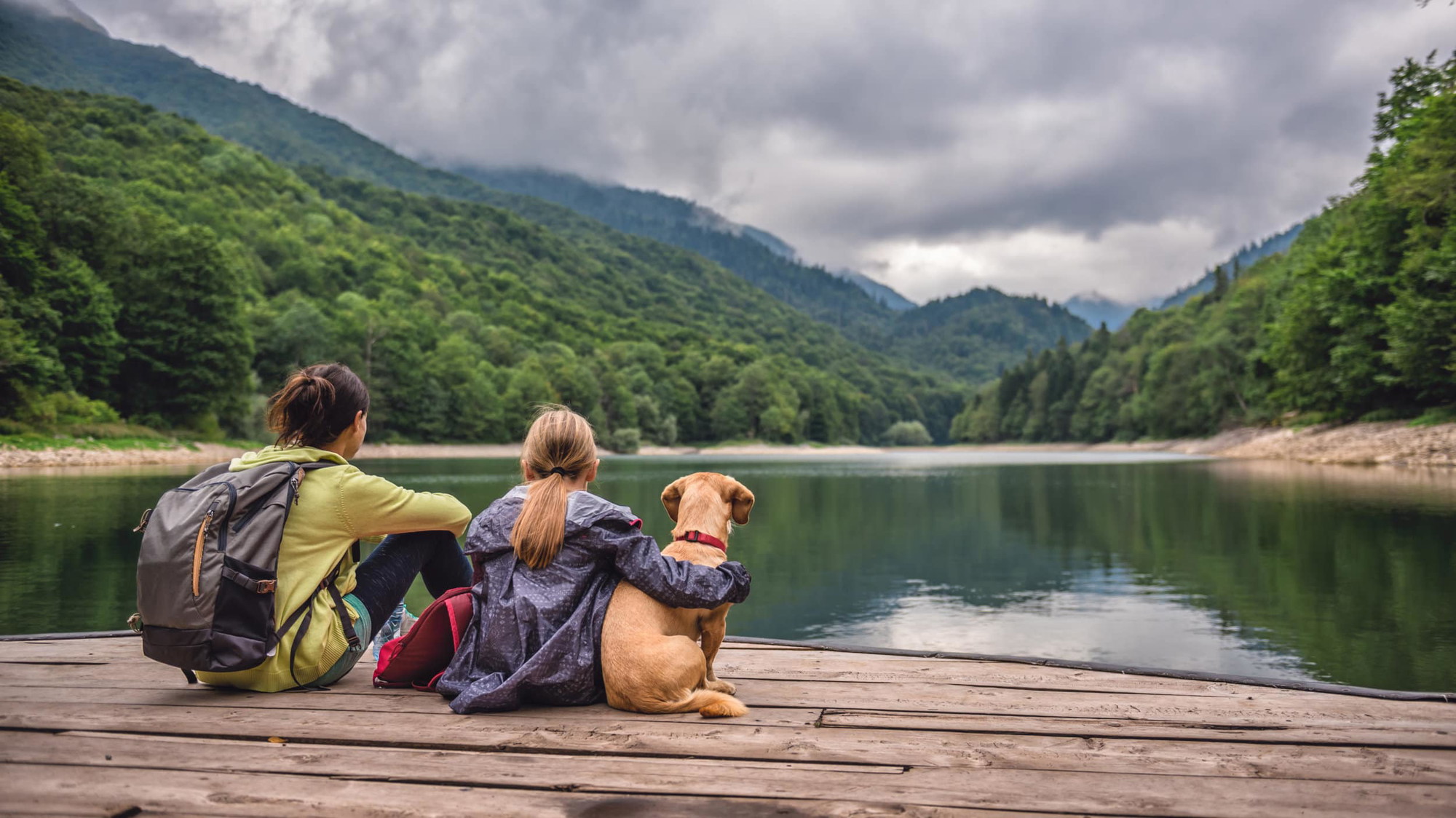 A vibrant dog park bathed in sunlight features abundant greenery with mature trees, offering ample shade for leisurely outdoor activities. In the distance is a well-equipped playground that presents an additional activity area. An inviting picnic table spreads out nearby, ideal for enjoying meals al fresco or taking relaxing breaks from play. A neatly-placed trash bin aids in maintaining the park's cleanliness for everyone's enjoyment. Dominating the scene is a generously wide dirt path gracefully curving through the expanse of grass, promising exploratory walks and lively fetch games.