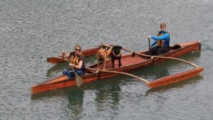 A vibrant dog park bathed in sunlight features abundant greenery with mature trees, offering ample shade for leisurely outdoor activities. In the distance is a well-equipped playground that presents an additional activity area. An inviting picnic table spreads out nearby, ideal for enjoying meals al fresco or taking relaxing breaks from play. A neatly-placed trash bin aids in maintaining the park's cleanliness for everyone's enjoyment. Dominating the scene is a generously wide dirt path gracefully curving through the expanse of grass, promising exploratory walks and lively fetch games.