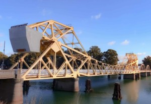 A vibrant dog park bathed in sunlight features abundant greenery with mature trees, offering ample shade for leisurely outdoor activities. In the distance is a well-equipped playground that presents an additional activity area. An inviting picnic table spreads out nearby, ideal for enjoying meals al fresco or taking relaxing breaks from play. A neatly-placed trash bin aids in maintaining the park's cleanliness for everyone's enjoyment. Dominating the scene is a generously wide dirt path gracefully curving through the expanse of grass, promising exploratory walks and lively fetch games.