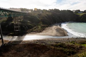 A vibrant dog park bathed in sunlight features abundant greenery with mature trees, offering ample shade for leisurely outdoor activities. In the distance is a well-equipped playground that presents an additional activity area. An inviting picnic table spreads out nearby, ideal for enjoying meals al fresco or taking relaxing breaks from play. A neatly-placed trash bin aids in maintaining the park's cleanliness for everyone's enjoyment. Dominating the scene is a generously wide dirt path gracefully curving through the expanse of grass, promising exploratory walks and lively fetch games.