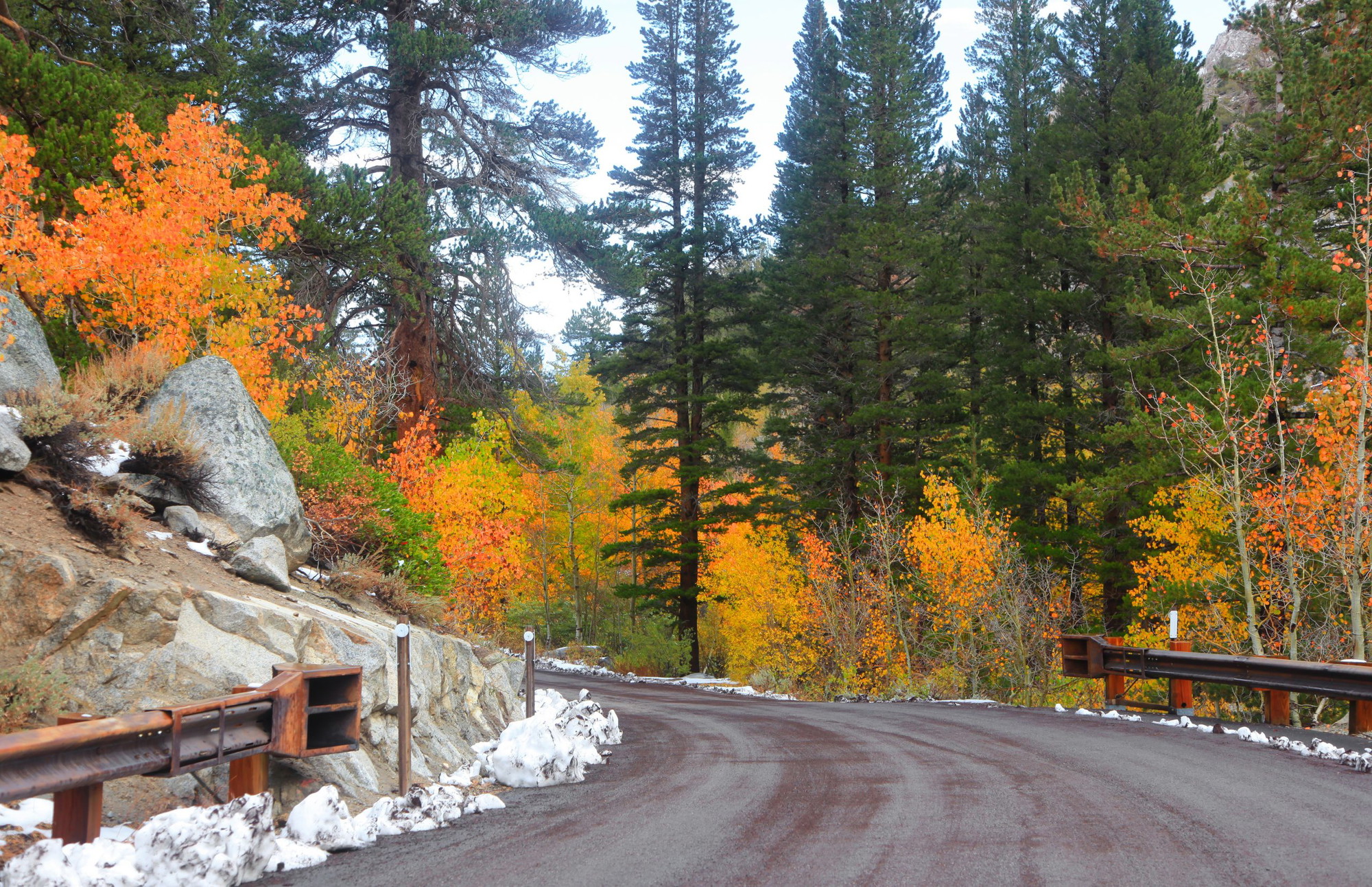 A vibrant dog park bathed in sunlight features abundant greenery with mature trees, offering ample shade for leisurely outdoor activities. In the distance is a well-equipped playground that presents an additional activity area. An inviting picnic table spreads out nearby, ideal for enjoying meals al fresco or taking relaxing breaks from play. A neatly-placed trash bin aids in maintaining the park's cleanliness for everyone's enjoyment. Dominating the scene is a generously wide dirt path gracefully curving through the expanse of grass, promising exploratory walks and lively fetch games.