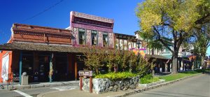 A vibrant dog park bathed in sunlight features abundant greenery with mature trees, offering ample shade for leisurely outdoor activities. In the distance is a well-equipped playground that presents an additional activity area. An inviting picnic table spreads out nearby, ideal for enjoying meals al fresco or taking relaxing breaks from play. A neatly-placed trash bin aids in maintaining the park's cleanliness for everyone's enjoyment. Dominating the scene is a generously wide dirt path gracefully curving through the expanse of grass, promising exploratory walks and lively fetch games.