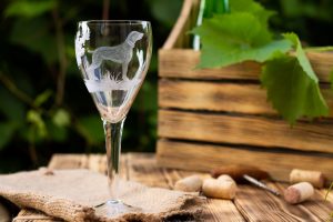 A vibrant dog park bathed in sunlight features abundant greenery with mature trees, offering ample shade for leisurely outdoor activities. In the distance is a well-equipped playground that presents an additional activity area. An inviting picnic table spreads out nearby, ideal for enjoying meals al fresco or taking relaxing breaks from play. A neatly-placed trash bin aids in maintaining the park's cleanliness for everyone's enjoyment. Dominating the scene is a generously wide dirt path gracefully curving through the expanse of grass, promising exploratory walks and lively fetch games.