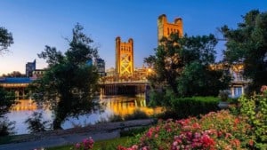 A vibrant dog park bathed in sunlight features abundant greenery with mature trees, offering ample shade for leisurely outdoor activities. In the distance is a well-equipped playground that presents an additional activity area. An inviting picnic table spreads out nearby, ideal for enjoying meals al fresco or taking relaxing breaks from play. A neatly-placed trash bin aids in maintaining the park's cleanliness for everyone's enjoyment. Dominating the scene is a generously wide dirt path gracefully curving through the expanse of grass, promising exploratory walks and lively fetch games.