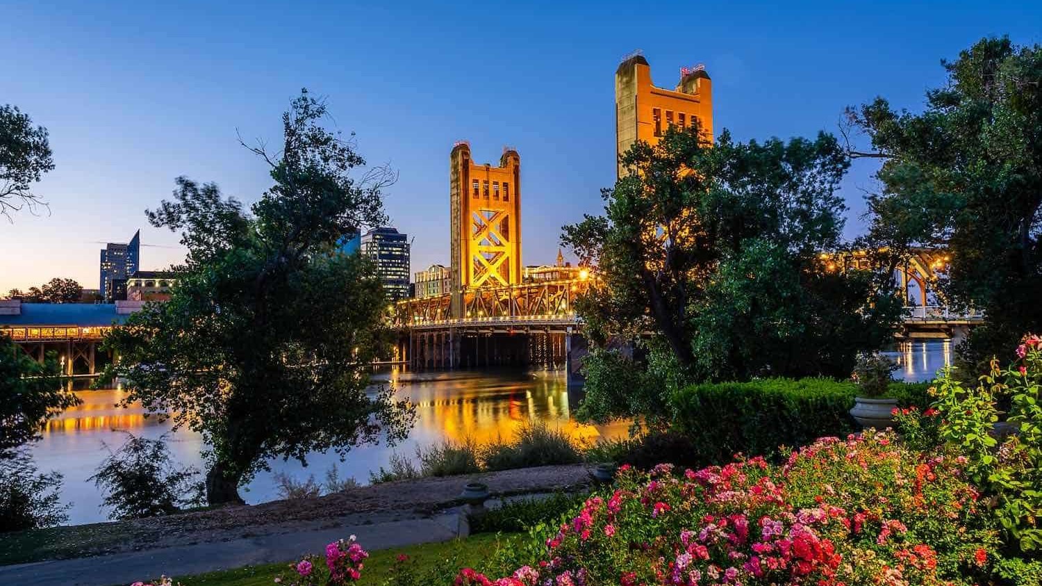A vibrant dog park bathed in sunlight features abundant greenery with mature trees, offering ample shade for leisurely outdoor activities. In the distance is a well-equipped playground that presents an additional activity area. An inviting picnic table spreads out nearby, ideal for enjoying meals al fresco or taking relaxing breaks from play. A neatly-placed trash bin aids in maintaining the park's cleanliness for everyone's enjoyment. Dominating the scene is a generously wide dirt path gracefully curving through the expanse of grass, promising exploratory walks and lively fetch games.