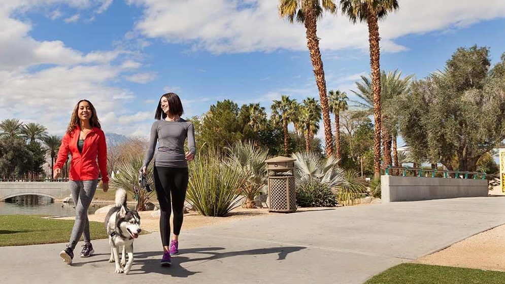 Two women walk a husky on a paved park path lined with palm trees and desert plants under a mostly clear sky.
