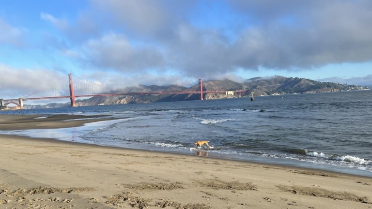 Crissy Field
