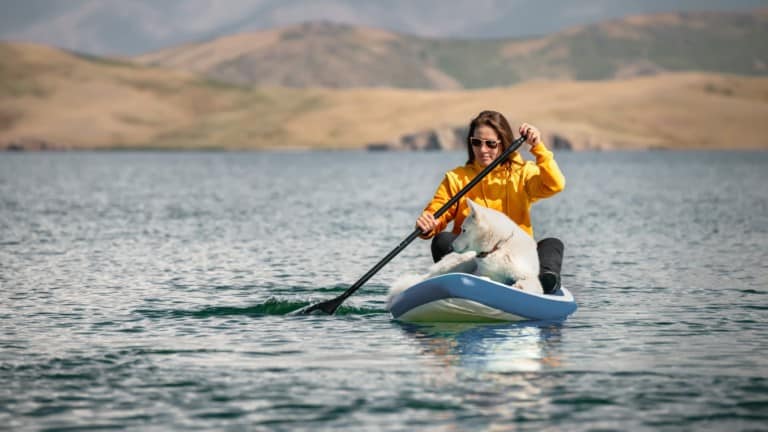 Holiday House SUP Instructions and Rentals