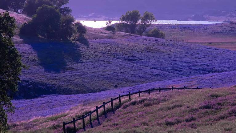 Folsom Lake State Recreation Area