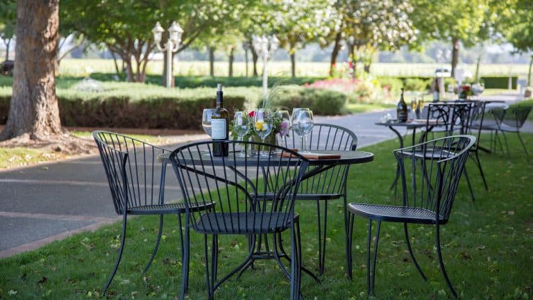 Monticello Vineyards