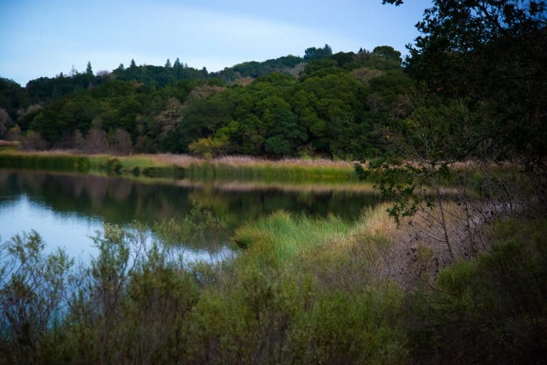 Lafayette Reservoir Recreation Area