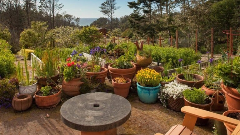 Llama Cottage at Little River Inn