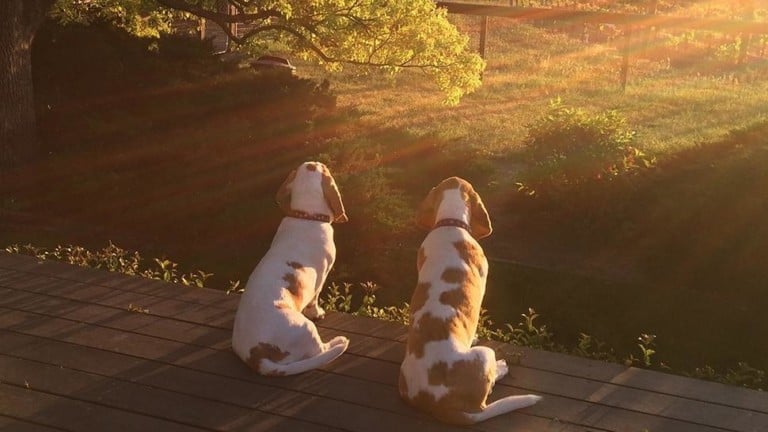 Photo by Visit Napa Valley.