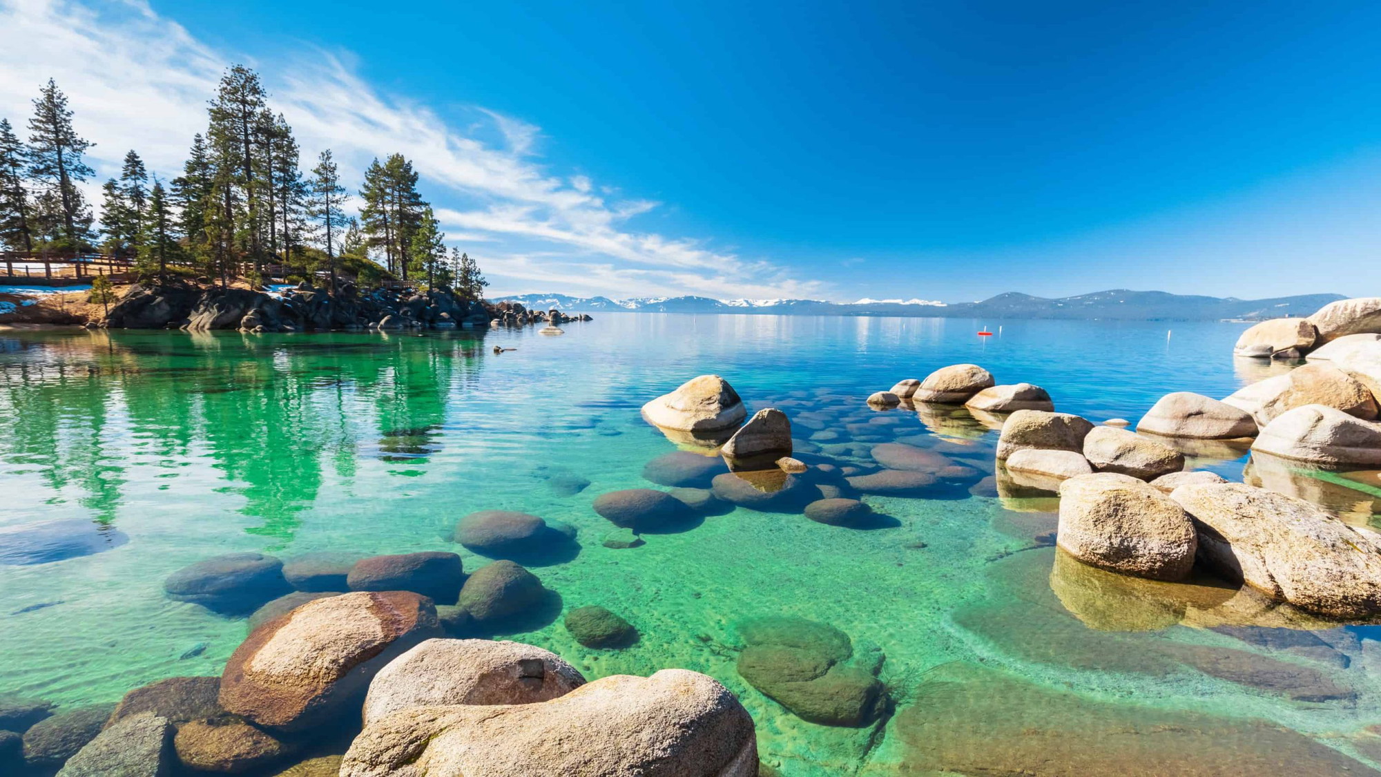 A vibrant dog park bathed in sunlight features abundant greenery with mature trees, offering ample shade for leisurely outdoor activities. In the distance is a well-equipped playground that presents an additional activity area. An inviting picnic table spreads out nearby, ideal for enjoying meals al fresco or taking relaxing breaks from play. A neatly-placed trash bin aids in maintaining the park's cleanliness for everyone's enjoyment. Dominating the scene is a generously wide dirt path gracefully curving through the expanse of grass, promising exploratory walks and lively fetch games.
