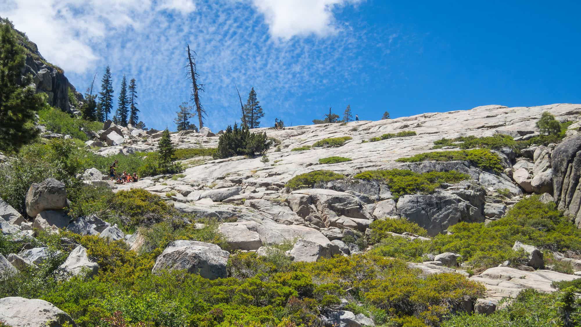 A vibrant dog park bathed in sunlight features abundant greenery with mature trees, offering ample shade for leisurely outdoor activities. In the distance is a well-equipped playground that presents an additional activity area. An inviting picnic table spreads out nearby, ideal for enjoying meals al fresco or taking relaxing breaks from play. A neatly-placed trash bin aids in maintaining the park's cleanliness for everyone's enjoyment. Dominating the scene is a generously wide dirt path gracefully curving through the expanse of grass, promising exploratory walks and lively fetch games.
