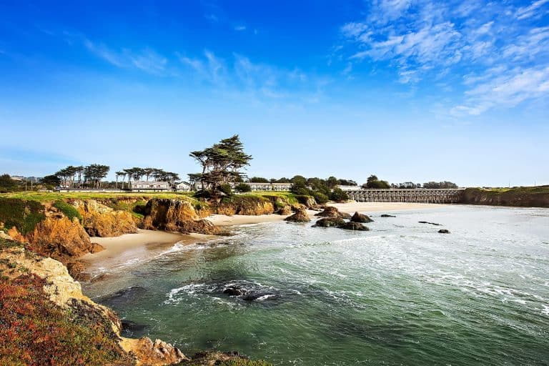 A vibrant dog park bathed in sunlight features abundant greenery with mature trees, offering ample shade for leisurely outdoor activities. In the distance is a well-equipped playground that presents an additional activity area. An inviting picnic table spreads out nearby, ideal for enjoying meals al fresco or taking relaxing breaks from play. A neatly-placed trash bin aids in maintaining the park's cleanliness for everyone's enjoyment. Dominating the scene is a generously wide dirt path gracefully curving through the expanse of grass, promising exploratory walks and lively fetch games.