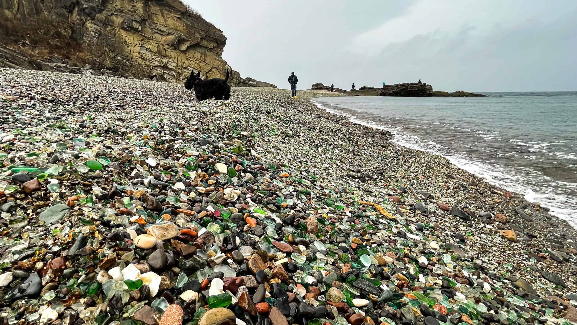 A vibrant dog park bathed in sunlight features abundant greenery with mature trees, offering ample shade for leisurely outdoor activities. In the distance is a well-equipped playground that presents an additional activity area. An inviting picnic table spreads out nearby, ideal for enjoying meals al fresco or taking relaxing breaks from play. A neatly-placed trash bin aids in maintaining the park's cleanliness for everyone's enjoyment. Dominating the scene is a generously wide dirt path gracefully curving through the expanse of grass, promising exploratory walks and lively fetch games.