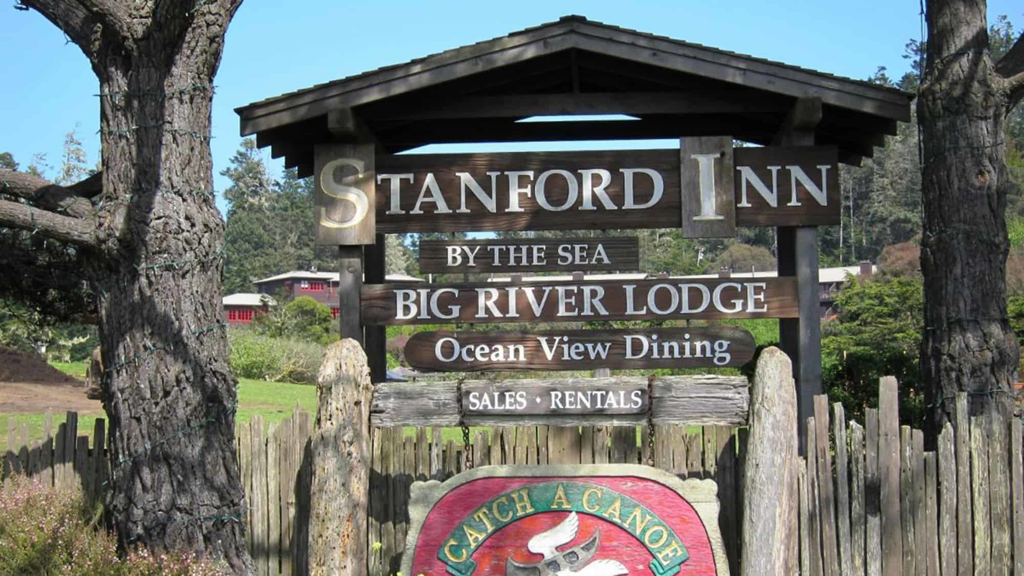 A vibrant dog park bathed in sunlight features abundant greenery with mature trees, offering ample shade for leisurely outdoor activities. In the distance is a well-equipped playground that presents an additional activity area. An inviting picnic table spreads out nearby, ideal for enjoying meals al fresco or taking relaxing breaks from play. A neatly-placed trash bin aids in maintaining the park's cleanliness for everyone's enjoyment. Dominating the scene is a generously wide dirt path gracefully curving through the expanse of grass, promising exploratory walks and lively fetch games.