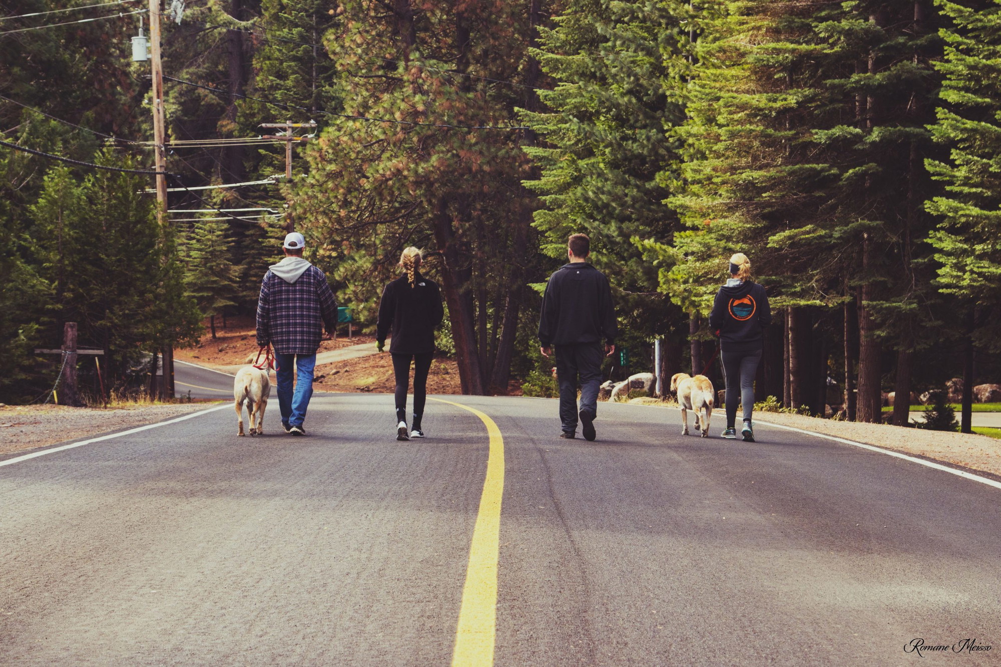 A vibrant dog park bathed in sunlight features abundant greenery with mature trees, offering ample shade for leisurely outdoor activities. In the distance is a well-equipped playground that presents an additional activity area. An inviting picnic table spreads out nearby, ideal for enjoying meals al fresco or taking relaxing breaks from play. A neatly-placed trash bin aids in maintaining the park's cleanliness for everyone's enjoyment. Dominating the scene is a generously wide dirt path gracefully curving through the expanse of grass, promising exploratory walks and lively fetch games.