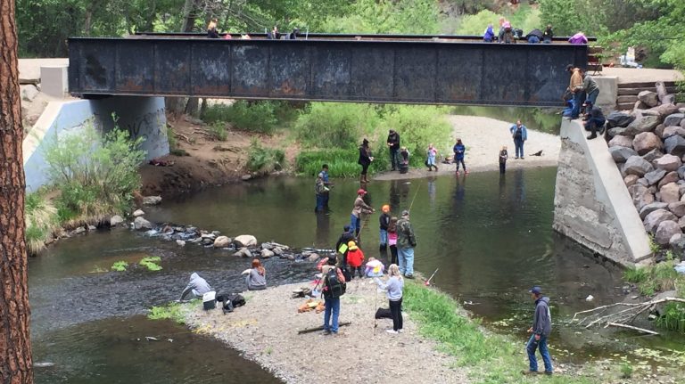 Hobo Camp Day Use Area