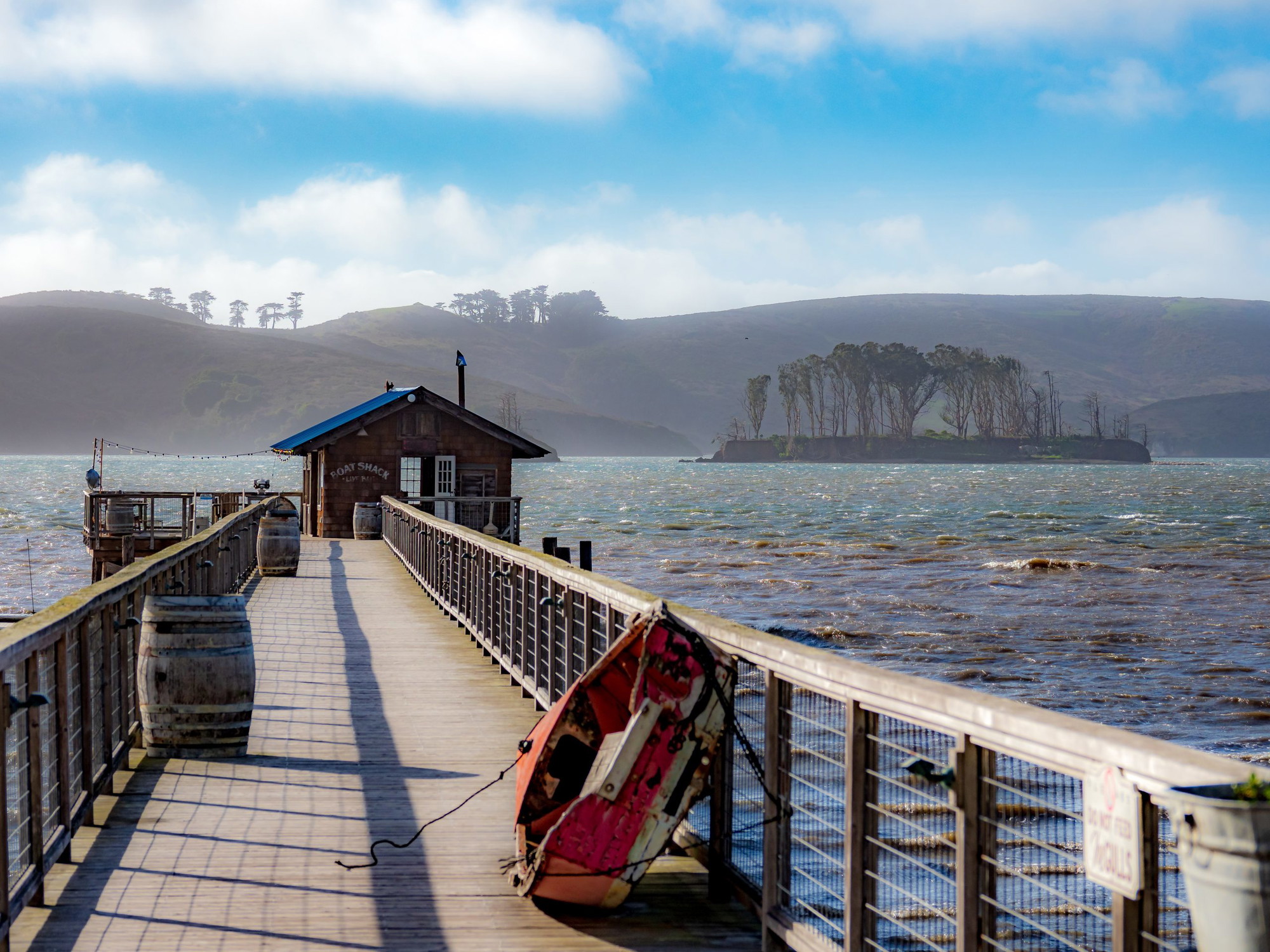 A vibrant dog park bathed in sunlight features abundant greenery with mature trees, offering ample shade for leisurely outdoor activities. In the distance is a well-equipped playground that presents an additional activity area. An inviting picnic table spreads out nearby, ideal for enjoying meals al fresco or taking relaxing breaks from play. A neatly-placed trash bin aids in maintaining the park's cleanliness for everyone's enjoyment. Dominating the scene is a generously wide dirt path gracefully curving through the expanse of grass, promising exploratory walks and lively fetch games.