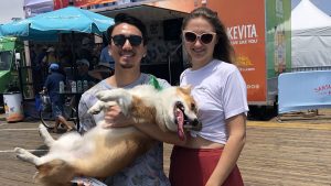 A vibrant dog park bathed in sunlight features abundant greenery with mature trees, offering ample shade for leisurely outdoor activities. In the distance is a well-equipped playground that presents an additional activity area. An inviting picnic table spreads out nearby, ideal for enjoying meals al fresco or taking relaxing breaks from play. A neatly-placed trash bin aids in maintaining the park's cleanliness for everyone's enjoyment. Dominating the scene is a generously wide dirt path gracefully curving through the expanse of grass, promising exploratory walks and lively fetch games.