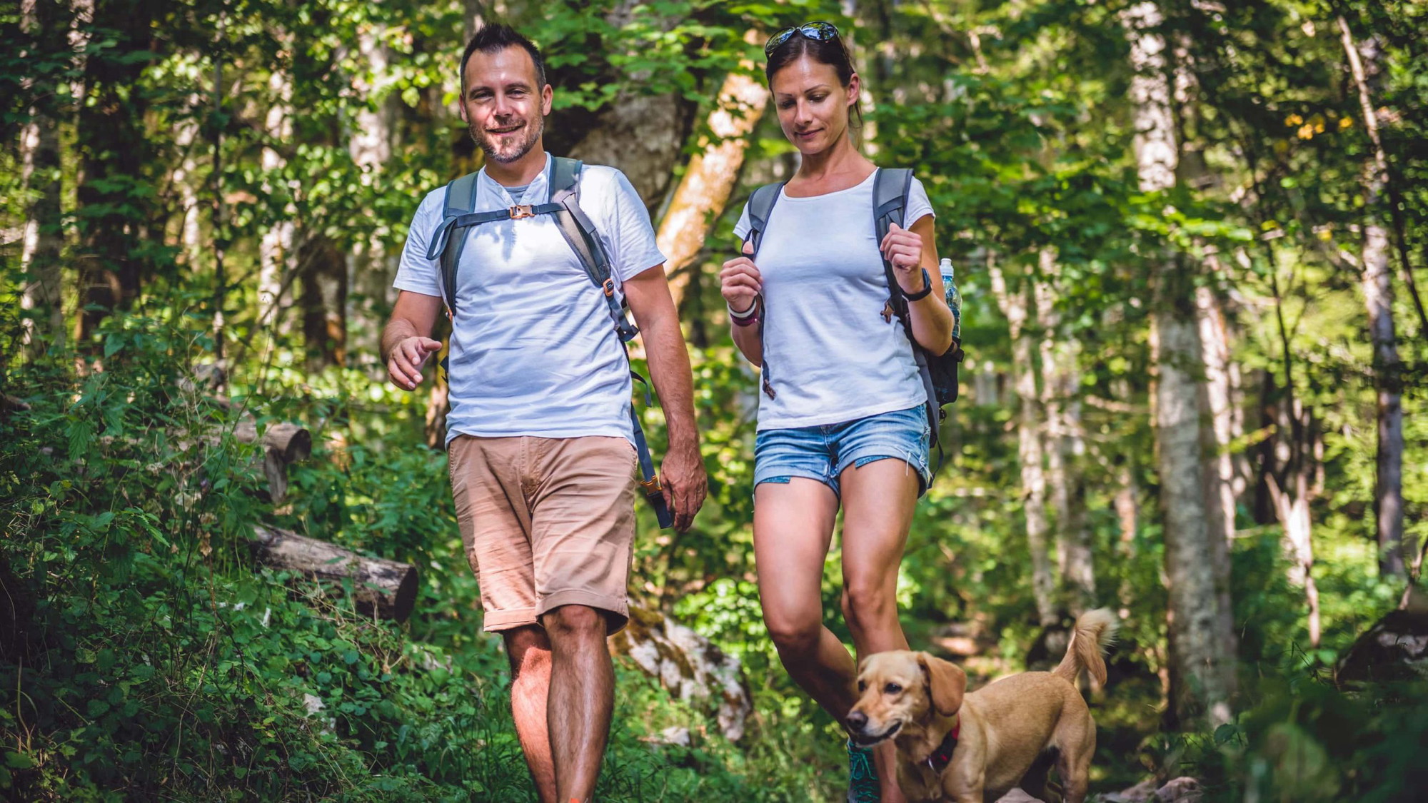 A vibrant dog park bathed in sunlight features abundant greenery with mature trees, offering ample shade for leisurely outdoor activities. In the distance is a well-equipped playground that presents an additional activity area. An inviting picnic table spreads out nearby, ideal for enjoying meals al fresco or taking relaxing breaks from play. A neatly-placed trash bin aids in maintaining the park's cleanliness for everyone's enjoyment. Dominating the scene is a generously wide dirt path gracefully curving through the expanse of grass, promising exploratory walks and lively fetch games.